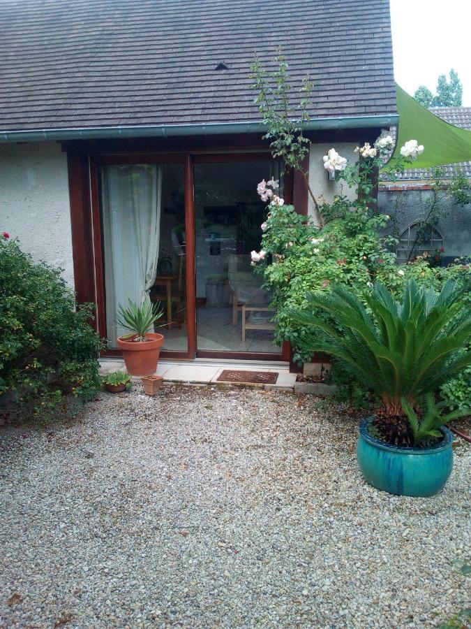 L'Orme Seul, Maison D'Hotes Vineuil  Eksteriør billede