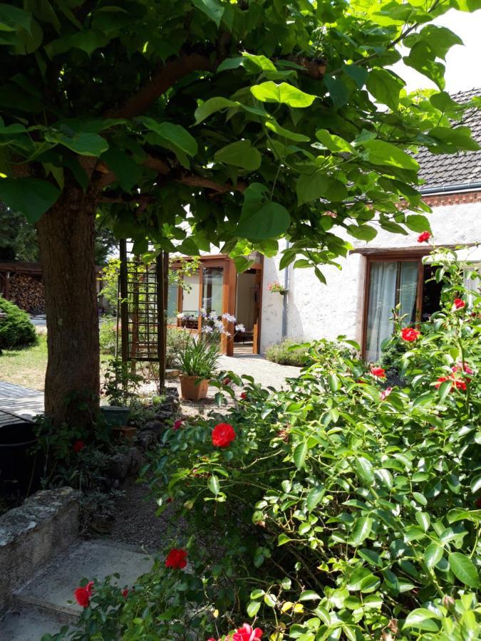 L'Orme Seul, Maison D'Hotes Vineuil  Eksteriør billede