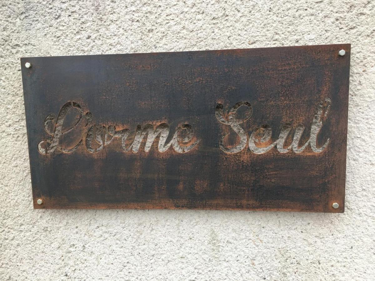 L'Orme Seul, Maison D'Hotes Vineuil  Eksteriør billede
