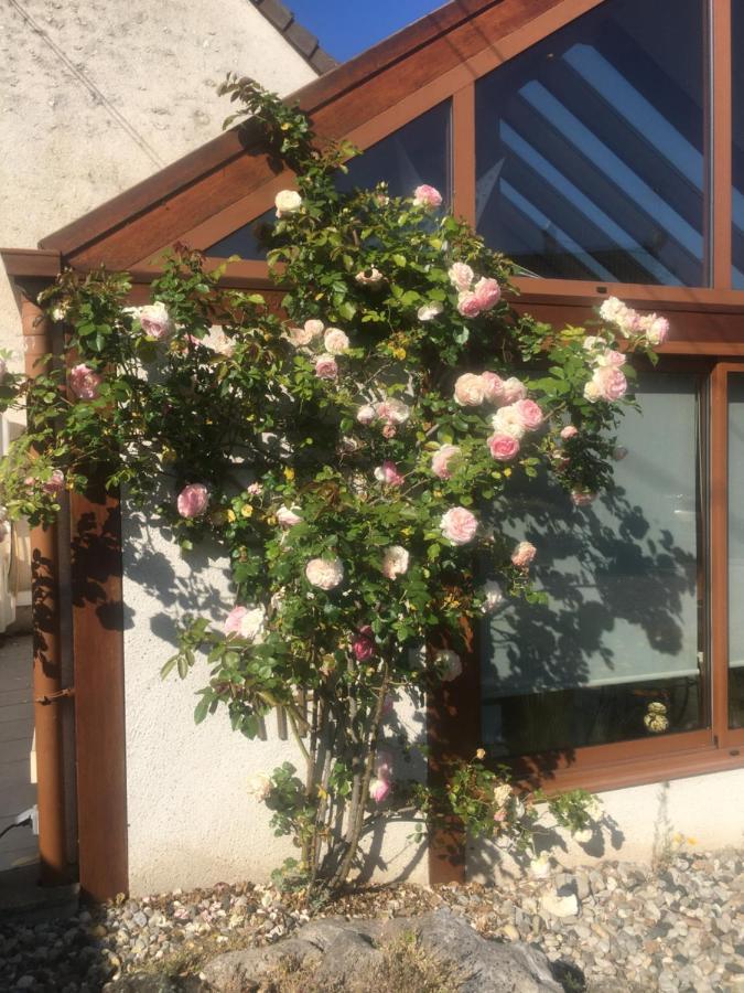 L'Orme Seul, Maison D'Hotes Vineuil  Eksteriør billede