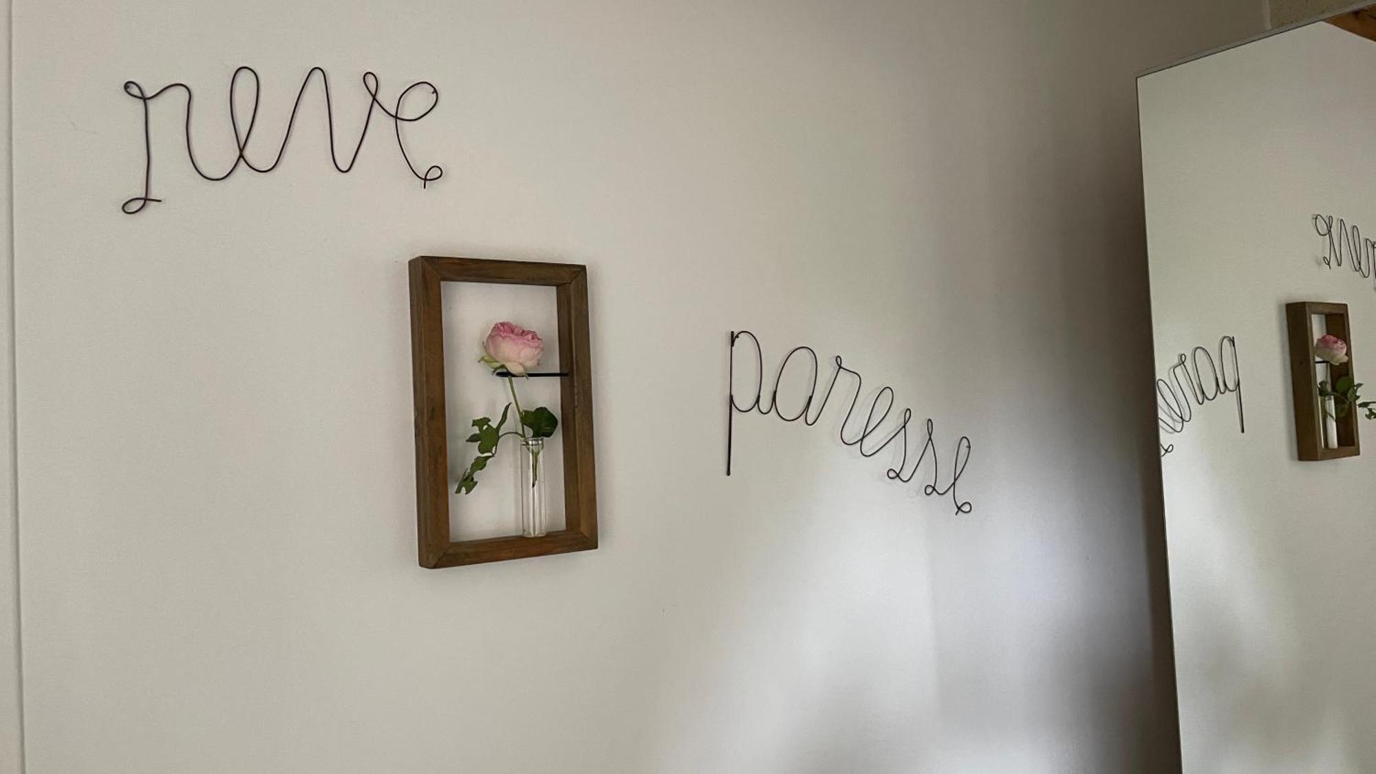L'Orme Seul, Maison D'Hotes Vineuil  Eksteriør billede